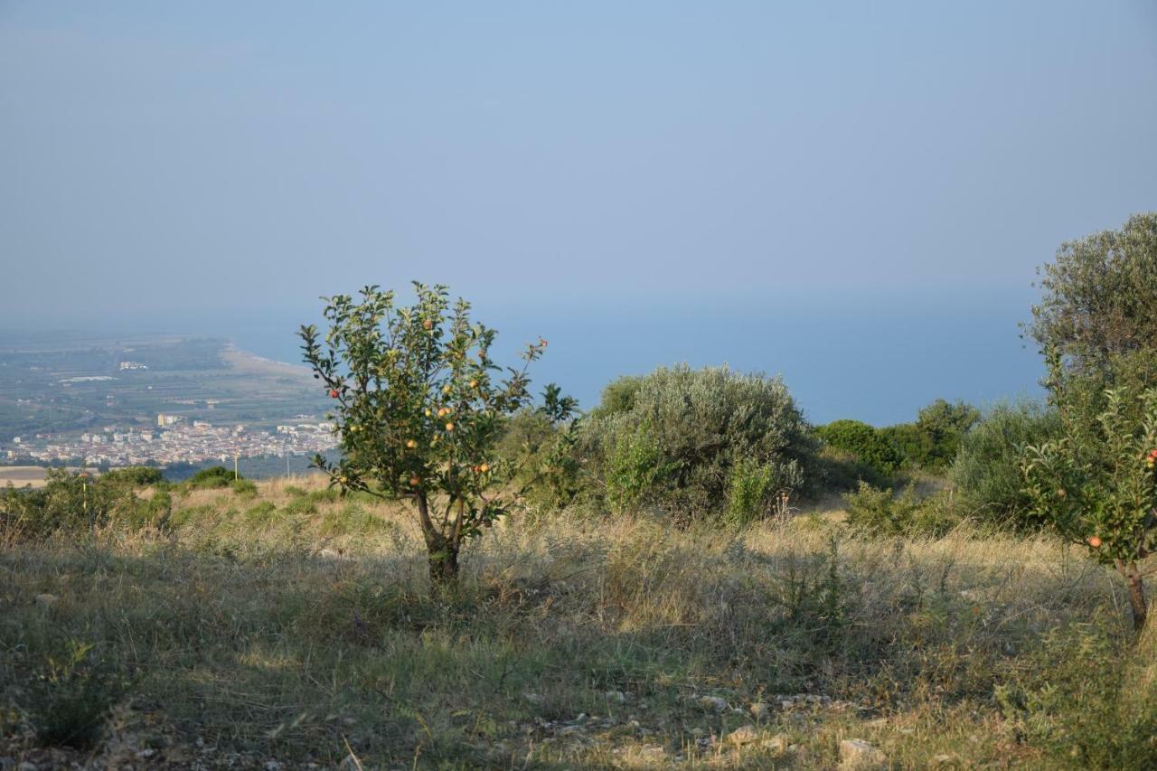 Case Vacanze La Venere Rocca Imperiale Buitenkant foto