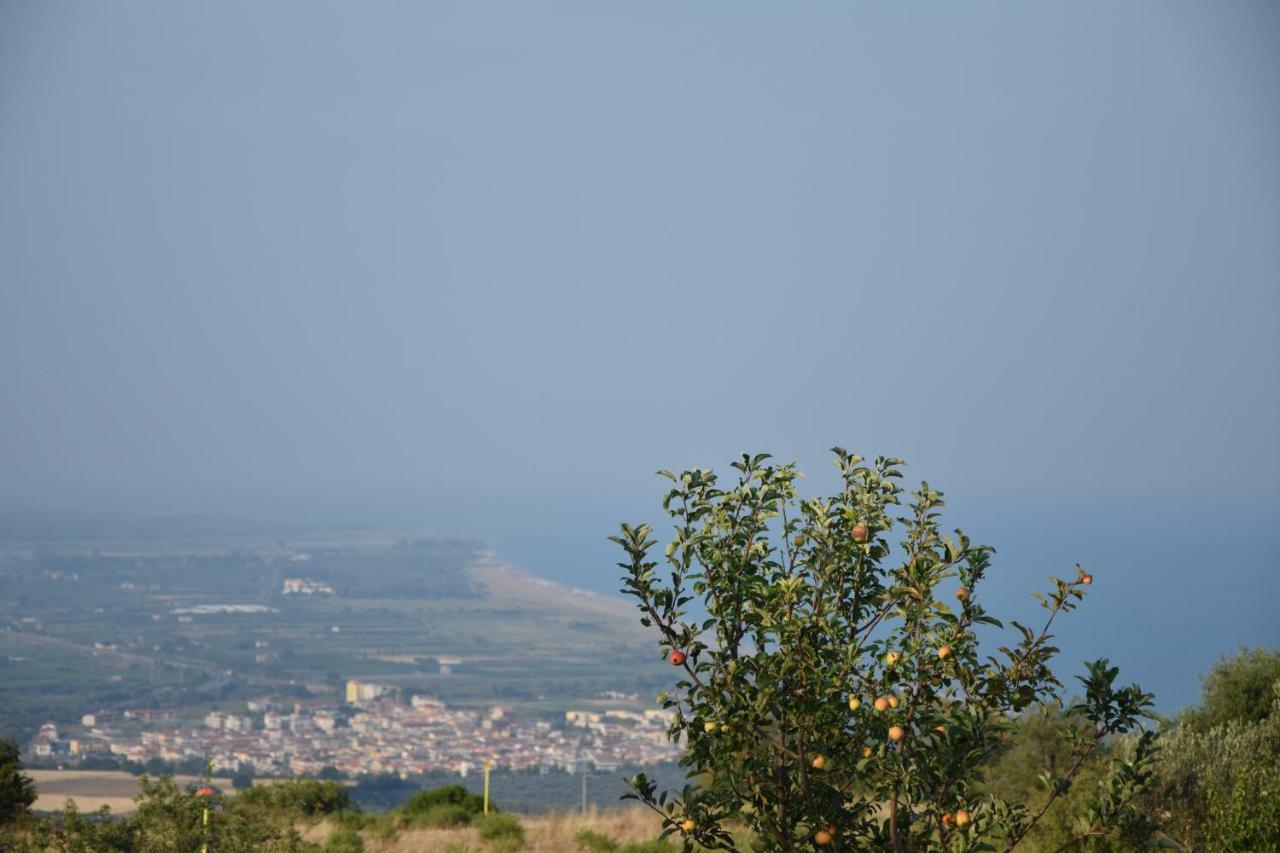 Case Vacanze La Venere Rocca Imperiale Buitenkant foto